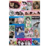 Educa Jigsaw Puzzle - Kitten Collage - 1000 pieces Educa Jigsaw Puzzle - Kitten Collage - 1000 pieces